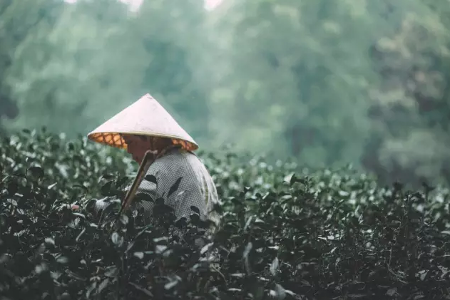 看这西湖畔的民宿，把精巧做到了极致！