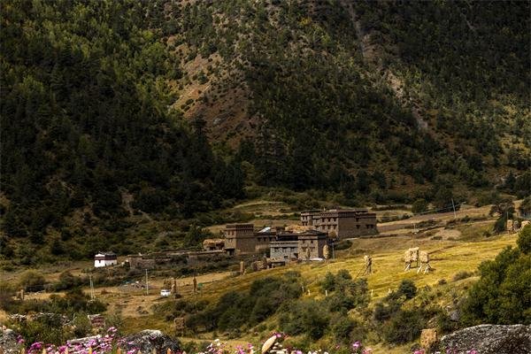 乡村民宿改造规划,这几方面是关键! 乡村民宿改造规划,这几方面是关键!