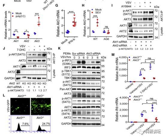 王红艳获得优青和杰青后再次在顶级期刊上发表论文