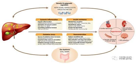 李红良教授在顶级刊物上连发两篇论文