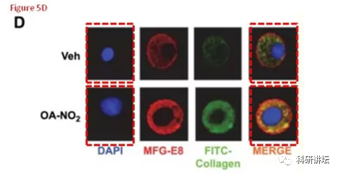 因图像造假被撤稿竟起诉杂志