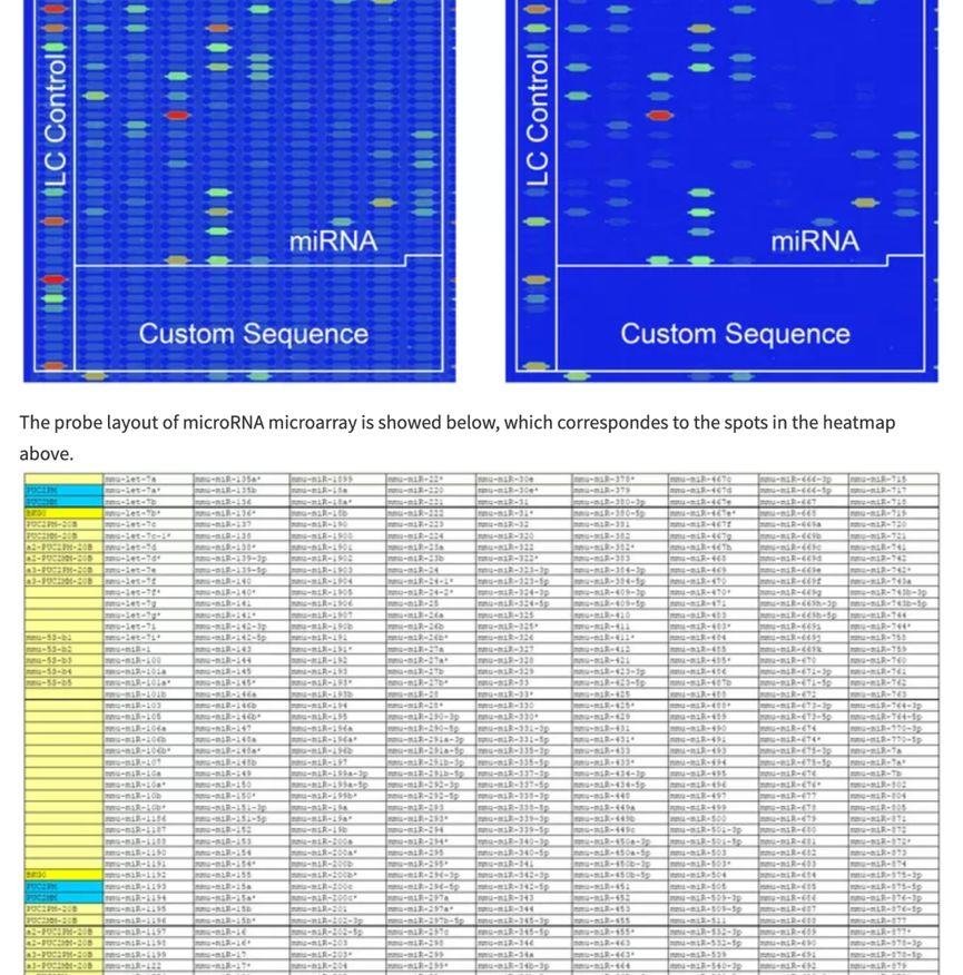 曹雪涛及团队第一作者快速回应论文造假质疑，全网最详细