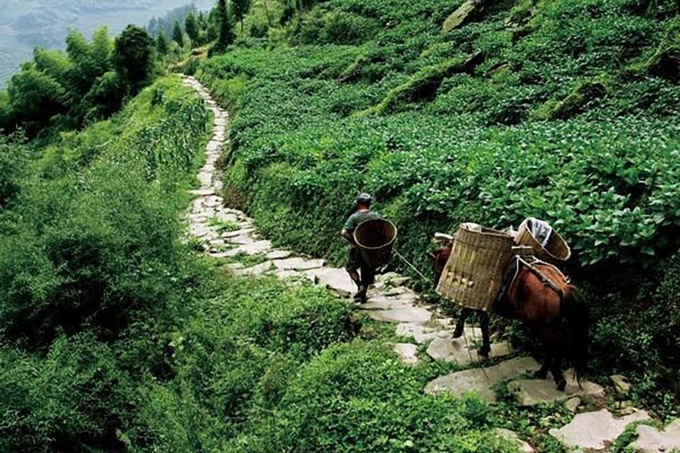 竞赛征集|雅安百丈湖水美乡村建筑国际设计竞赛