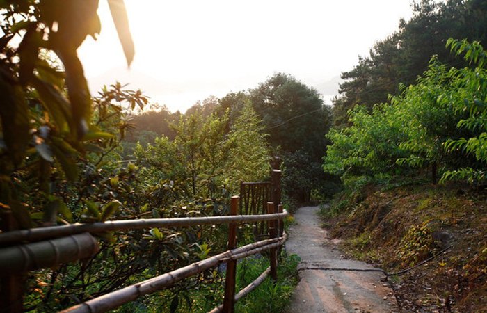 千岛湖民宿新格调,美呆了! 千岛湖民宿新格调,美呆了!