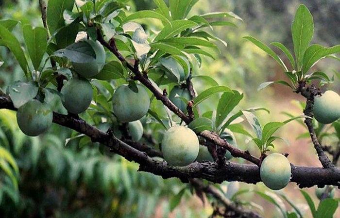 千岛湖民宿新格调,美呆了! 千岛湖民宿新格调,美呆了!
