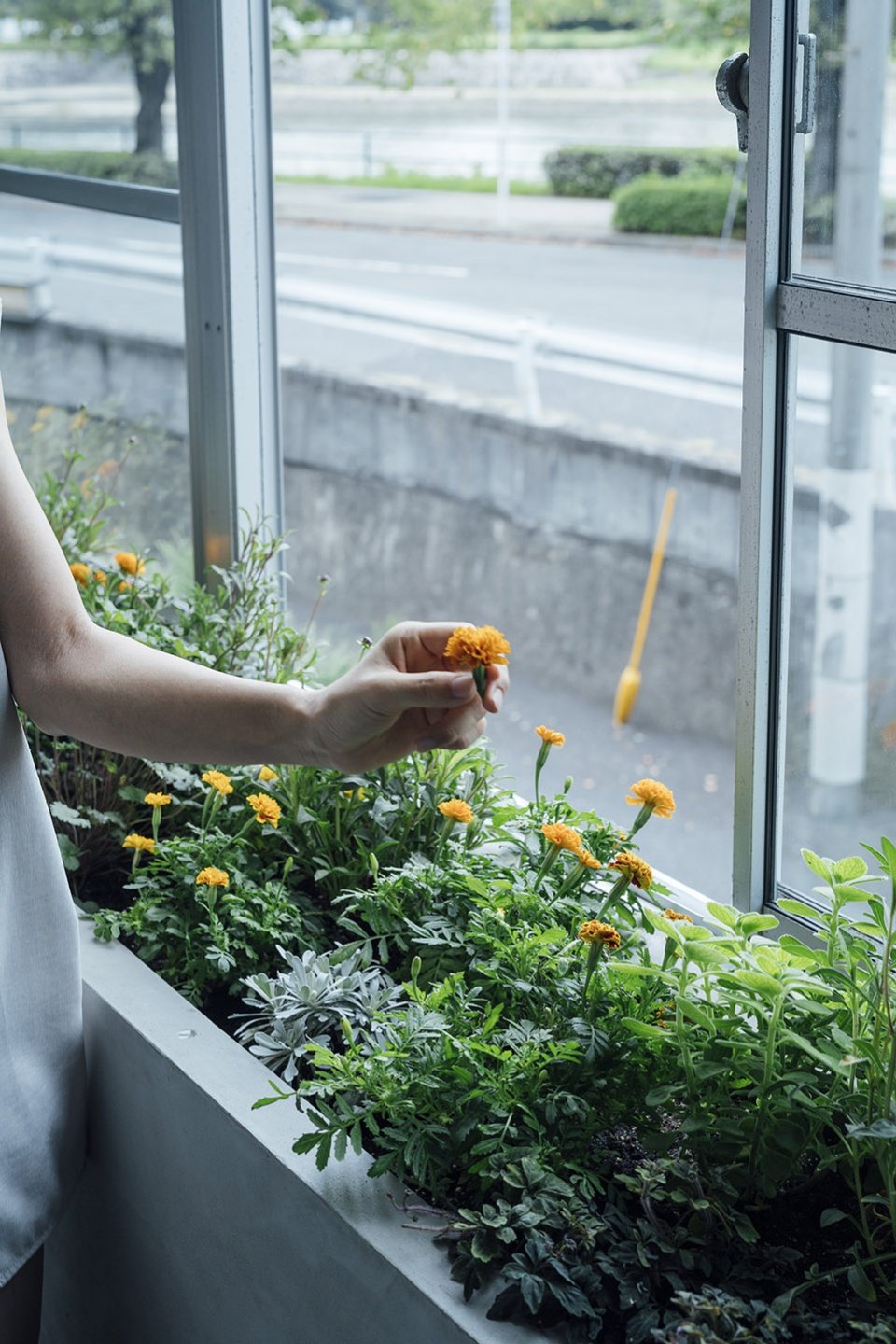 Little Witch Lab 饰品工作室,日本 / FATHOM Little Witch Lab 饰品工作室,日本 / FATHOM