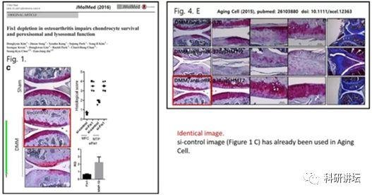 韩国圆光大学 Eun-Jung Jin 教授被指论文造假