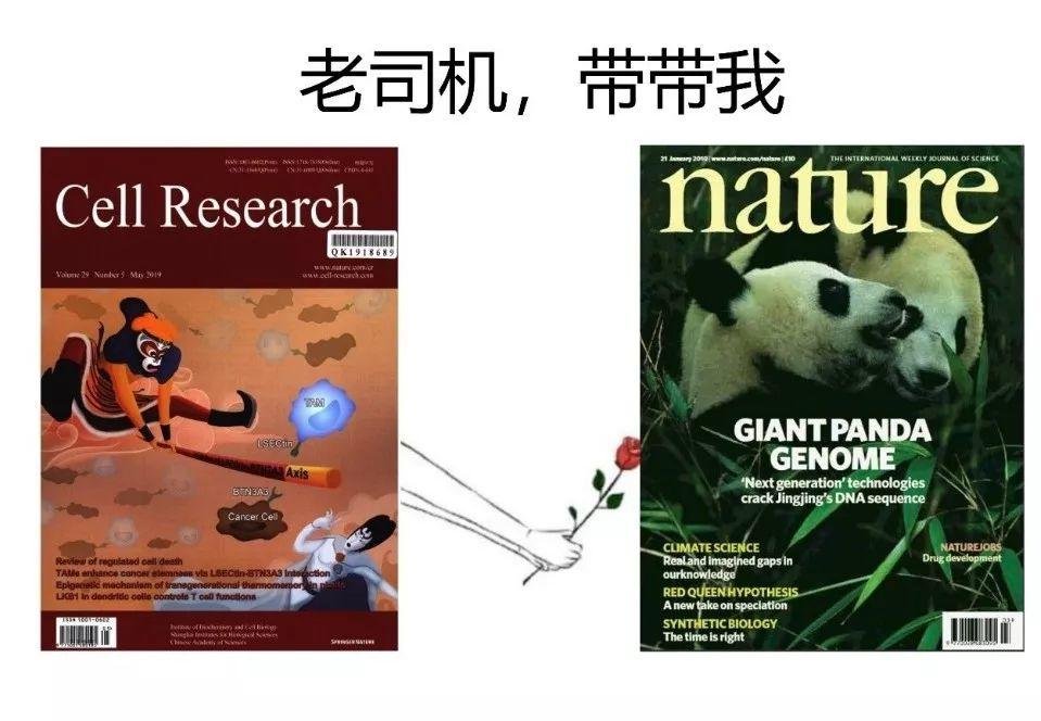 Cell Research 中国国产影响因子最高的期刊 (20 分)