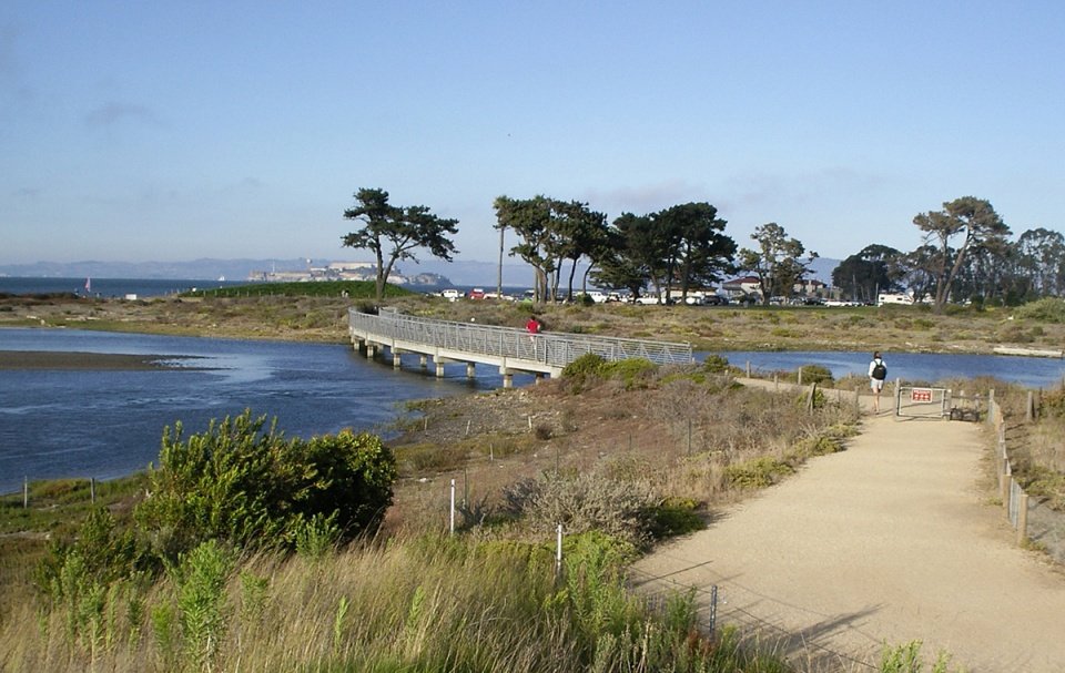 2022 ASLA 地标奖：Crissy Field 公园: 持久的转变，旧金山 / Hargreaves Jones