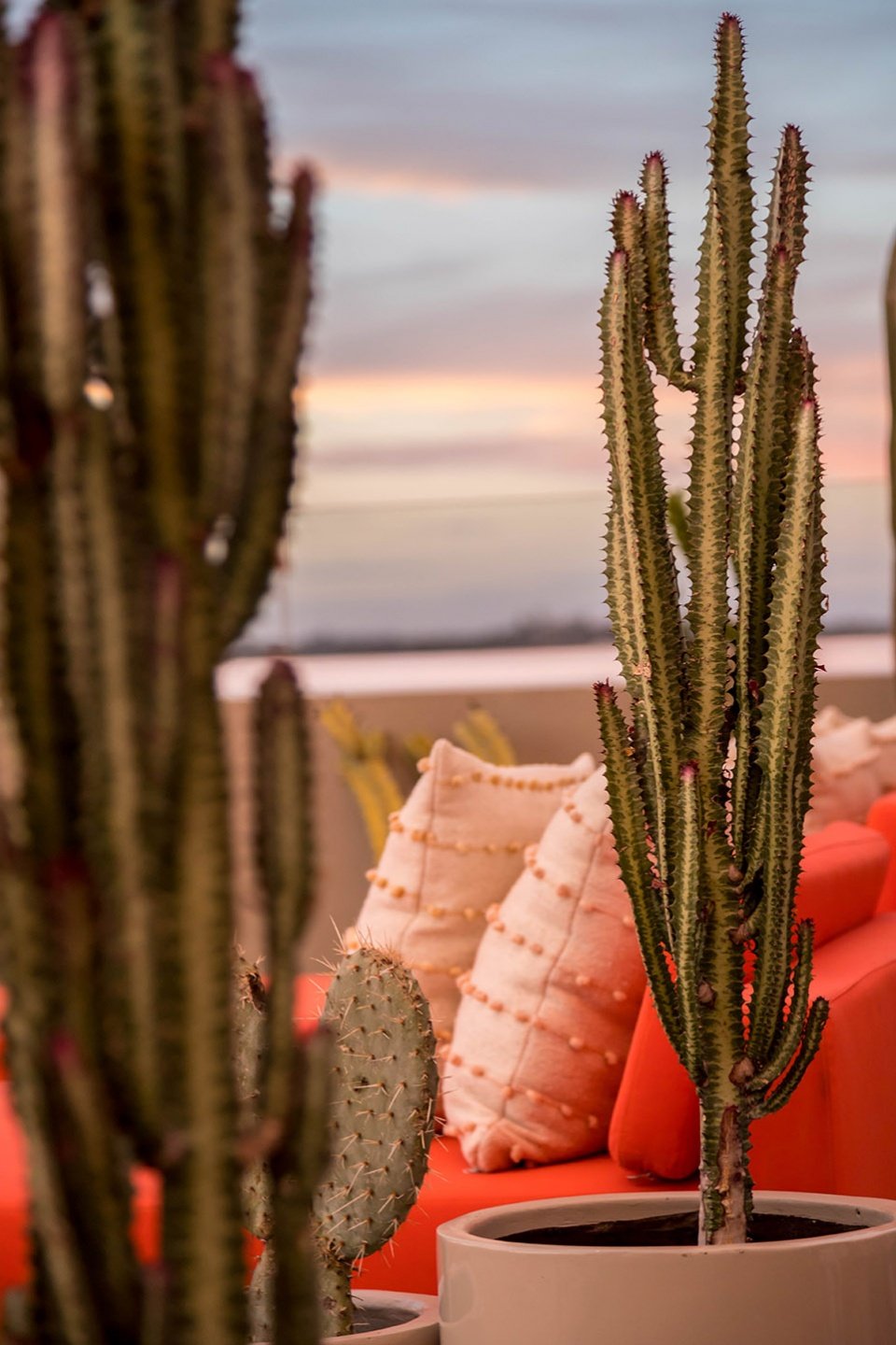 Casa Hoyos 精品酒店，墨西哥 / A-G studio