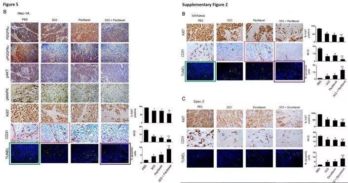 著名韩国癌症研究科学家 Ju-Seog Lee 多篇论文涉嫌学术不端