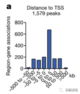 Hanna K. A. Mikkola 教授一半的文章发表在高分期刊上