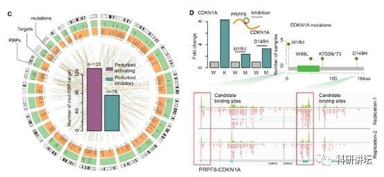 李霞教授在肿瘤组学大数据研究中一年内连发 3 篇顶刊 SCI