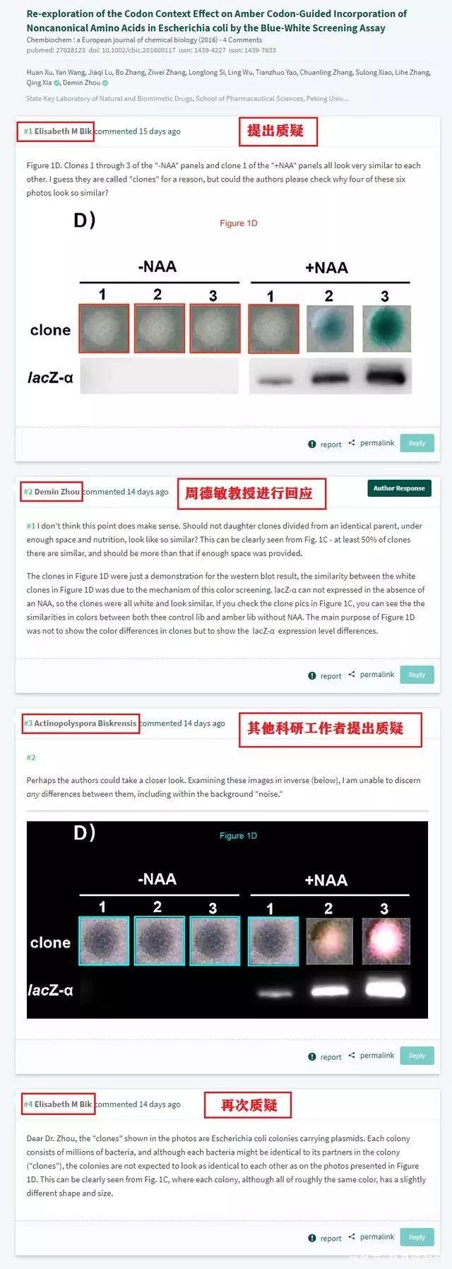 北京大学药学院院长周德敏教授涉嫌学术造假
