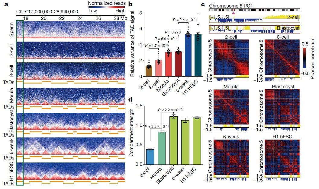 陈子江近期已 5 篇顶刊 (3 篇 NEJM+ 1 篇 Lancet+ 1 篇 Nature)