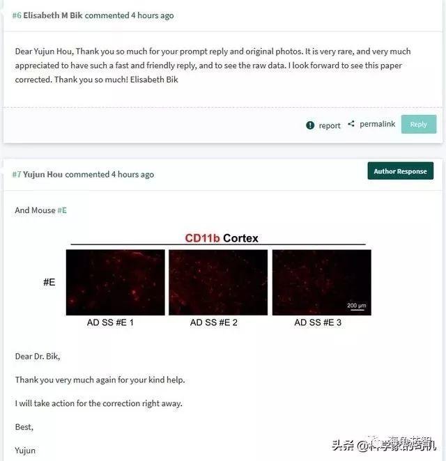 Elisabeth Bik 指出中科院上海生命科学研究院院长裴钢论文造假