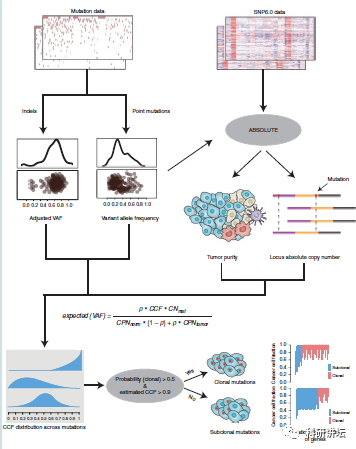 李霞教授在肿瘤组学大数据研究中一年内连发 3 篇顶刊 SCI