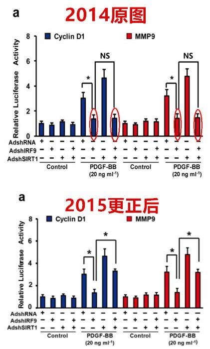 饶毅向国自然基金委实名举报李红良、裴钢和耿美玉学术造假