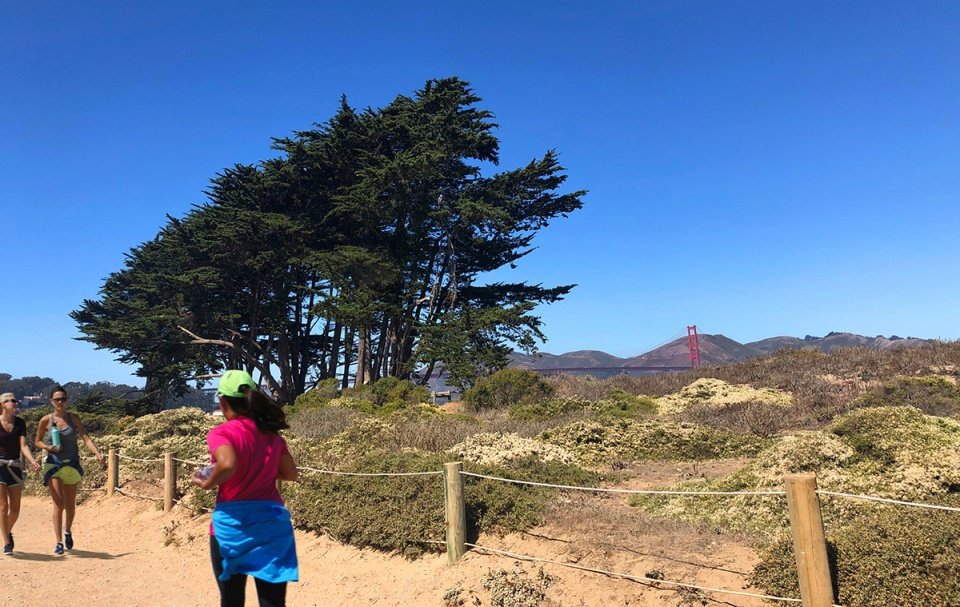 2022 ASLA 地标奖：Crissy Field 公园: 持久的转变，旧金山 / Hargreaves Jones