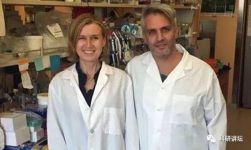 Hanna K. A. Mikkola 教授一半的文章发表在高分期刊上