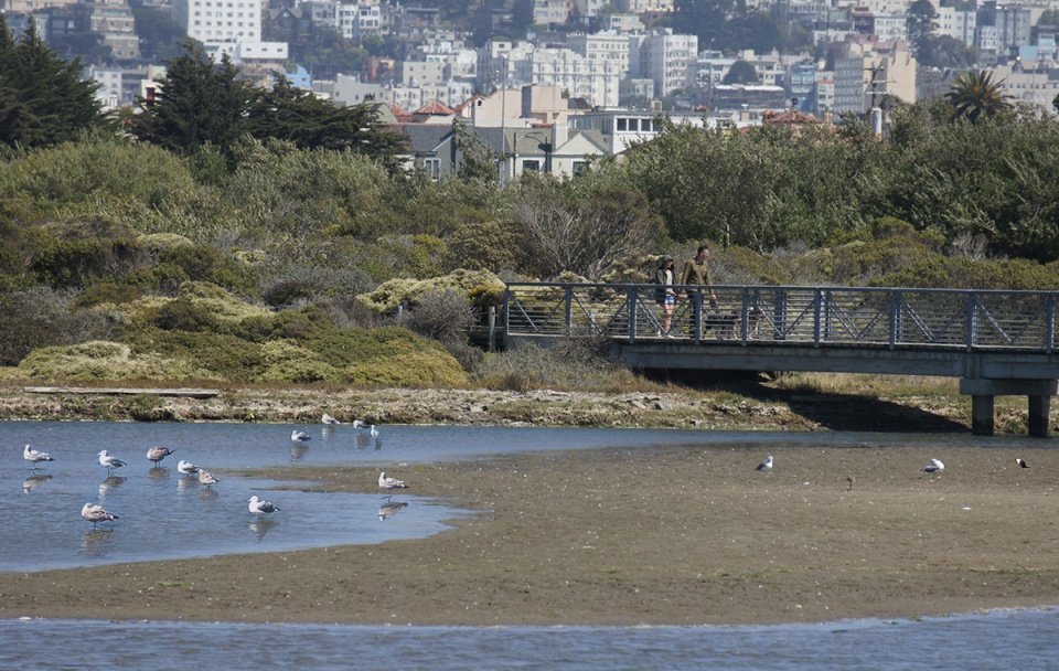 2022 ASLA 地标奖：Crissy Field 公园: 持久的转变，旧金山 / Hargreaves Jones