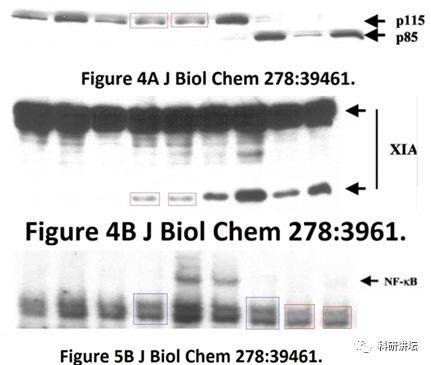 印度院士被举报 16 篇 SCI 论文造假，却赖账不承认
