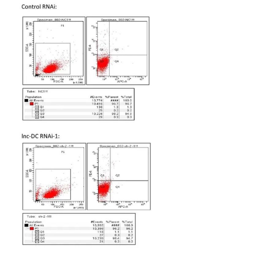 曹雪涛及团队第一作者快速回应论文造假质疑，全网最详细