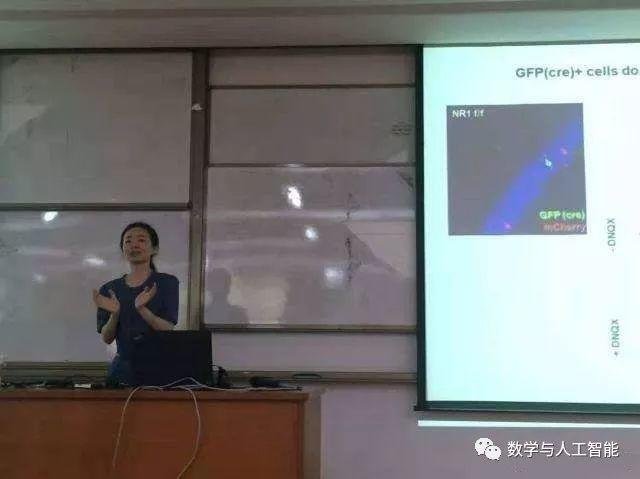 华中科技大学同济医学院的青年千人教授、博士生导师牟阳灵教授因病去世