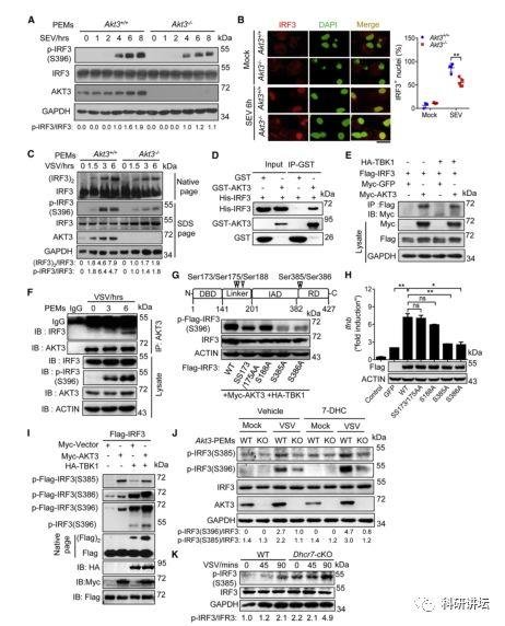 王红艳获得优青和杰青后再次在顶级期刊上发表论文