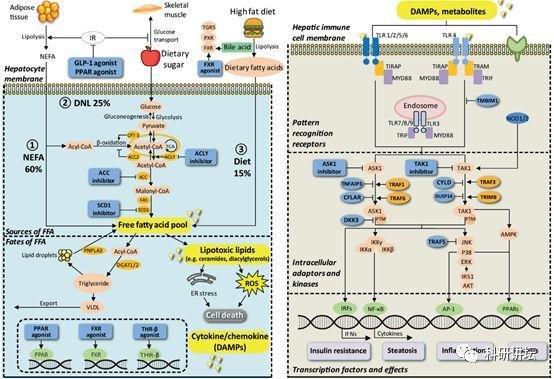 李红良教授在顶级刊物上连发两篇论文