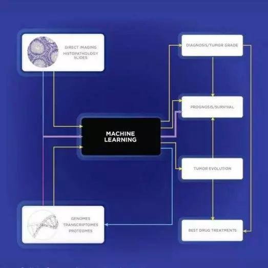 The Scientist:2019 年度具有代表性和突破性的生物技术