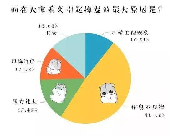 当代硕博研究生脱发危机有多严重？
