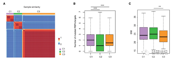 李霞教授在肿瘤组学大数据研究中一年内连发 3 篇顶刊 SCI