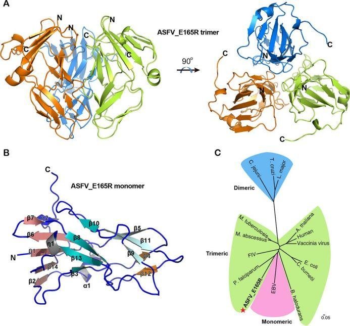 中科院高福院士课题组 2019 年发表的重要的研究成果