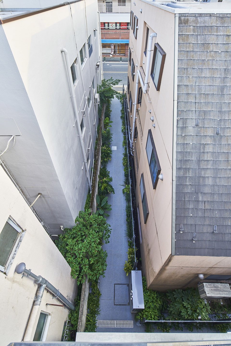 O 住宅,日本 / 川岛洋平建筑设计事务所 O 住宅,日本 / 川岛洋平建筑设计事务所