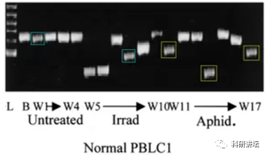 英国伦敦国王学院医院的血液科主任被指论文 9 篇造假