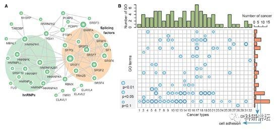 李霞教授在肿瘤组学大数据研究中一年内连发 3 篇顶刊 SCI