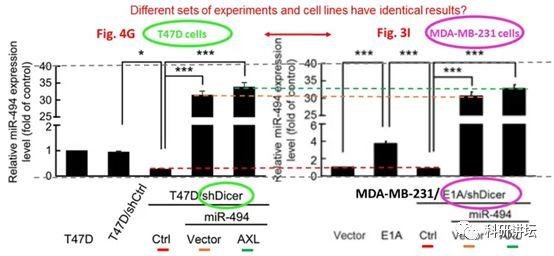 院士兼校长 Mien-Chie Hung(洪明奇)涉嫌学术不端，造假文章十余篇