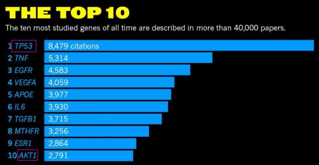 人 2 万个基因中绝大多数基因没有详细研究