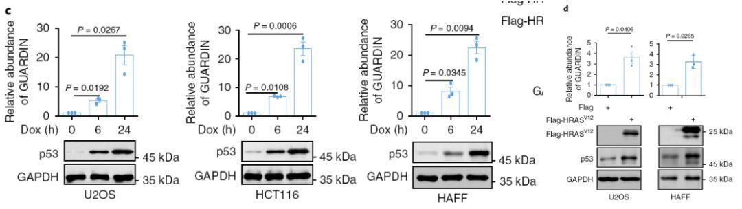 吴缅:lncRNA 神人 2 个月连发 PNAS 和 Nature 子刊
