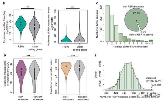 李霞教授在肿瘤组学大数据研究中一年内连发 3 篇顶刊 SCI