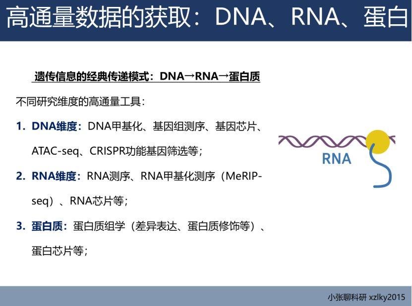 人 2 万个基因中绝大多数基因没有详细研究