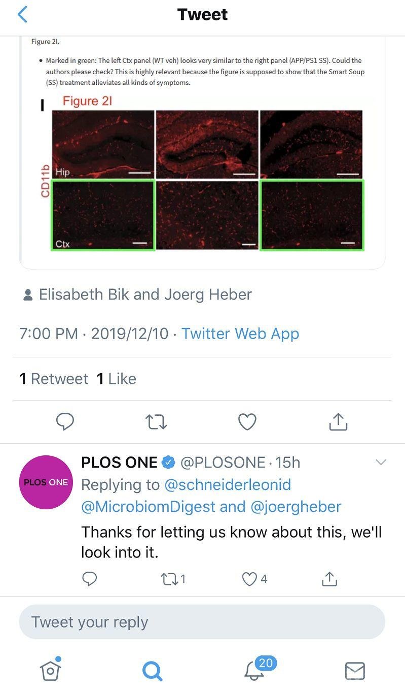 裴钢院士论文被举报 期刊: 收到消息，正调查