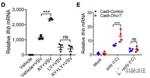 王红艳获得优青和杰青后再次在顶级期刊上发表论文