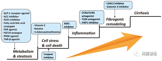 李红良教授在顶级刊物上连发两篇论文