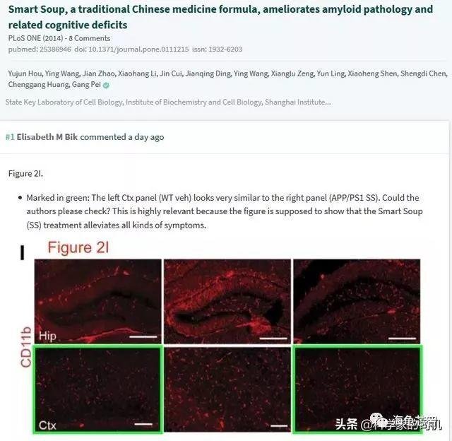 Elisabeth Bik 指出中科院上海生命科学研究院院长裴钢论文造假
