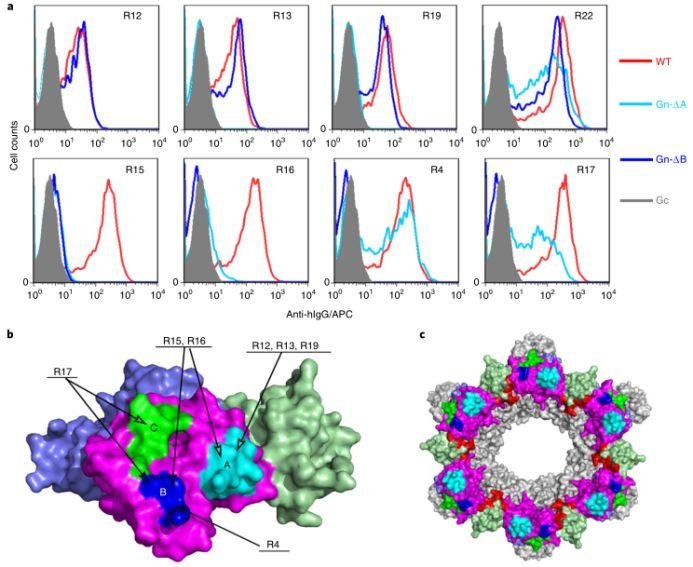中科院高福院士课题组 2019 年发表的重要的研究成果