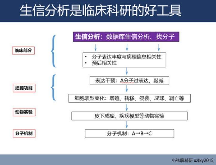 人 2 万个基因中绝大多数基因没有详细研究