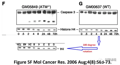 英国伦敦国王学院医院的血液科主任被指论文 9 篇造假