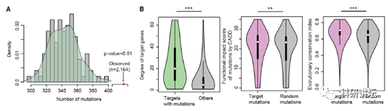 李霞教授在肿瘤组学大数据研究中一年内连发 3 篇顶刊 SCI